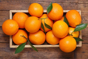 Orange Trees image