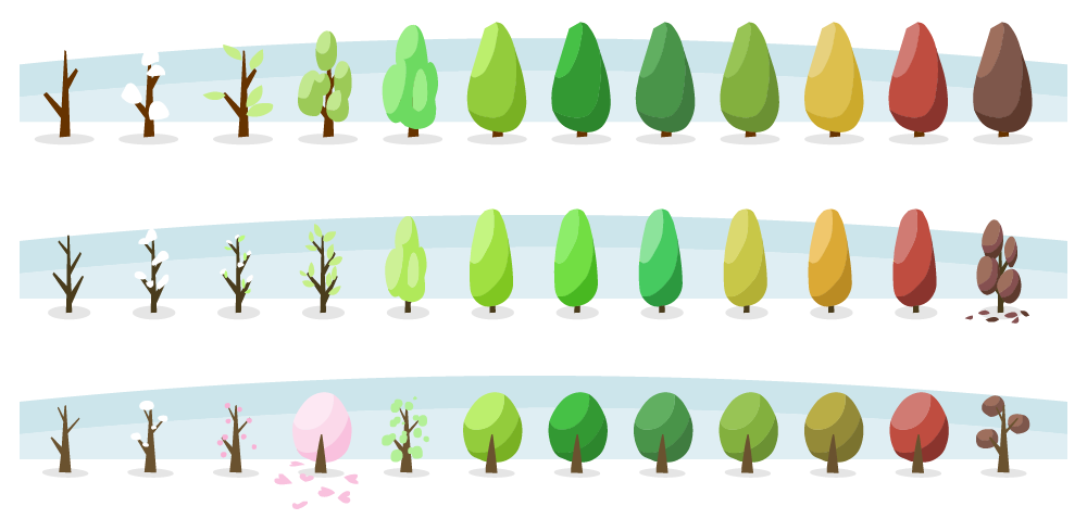 Color variations and seasonal change of trees
